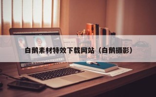 韶关白鹅素材特效下载网站（白鹅摄影）
